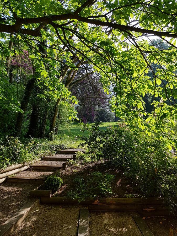 Les Buis De Boscherville Gite Henouville Экстерьер фото