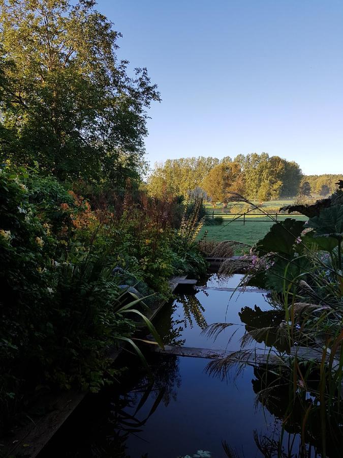 Les Buis De Boscherville Gite Henouville Экстерьер фото